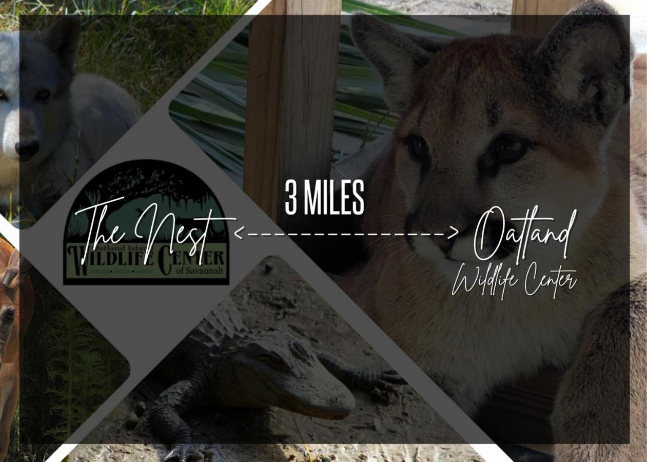 Cozy Oasis 15Min To Dt & Tybee, Home Away From Home - The Nest Savannah Ngoại thất bức ảnh